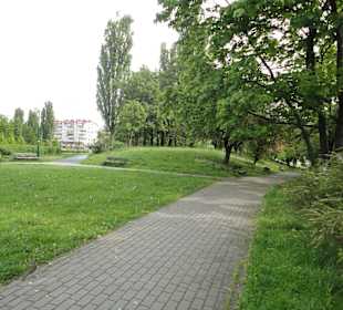 Park