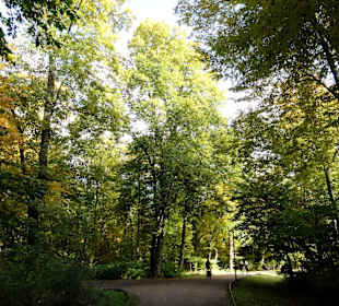Herbstspaziergang durch den Bürgerpark Bremen