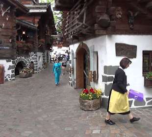 Themenbereich Schweiz