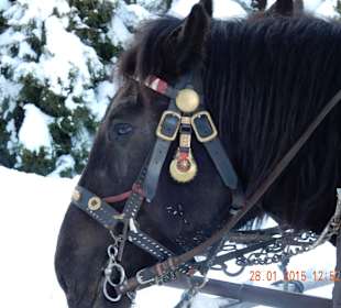 Pause an der Jausenstation