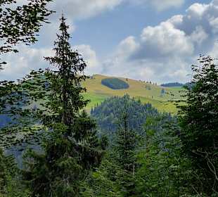 Wandern mit Aussicht / Gleisdorf