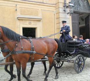 Kutschenfahrt am Schloss