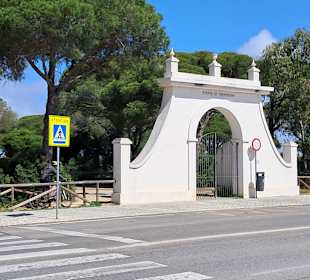 Salina Santa Teresa in Chiclana de la Frontera
