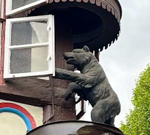 Sport & Freizeit