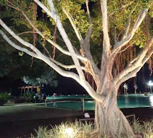 Cairns