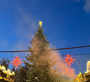 Weihnachtsbaum 