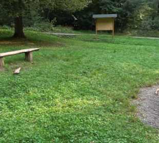 Altwege Rundwanderung Bebenhausen