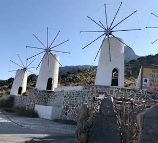 Viele Windmühlen 