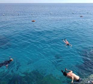 Tauchparadies im Januar