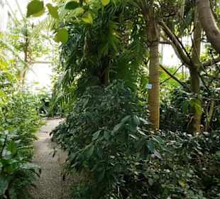 Botanischer Garten