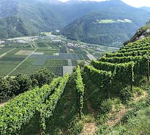 Wandern Naturno / Naturns