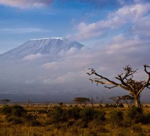 Nationalpark Kilimandscharo