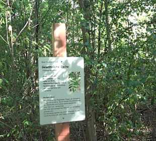 Baumlehrpfad Zollertal
