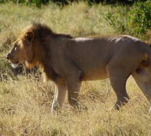 Im Samburu
