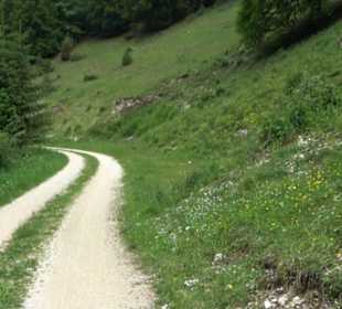 Tiefental Aichstetten