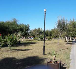 Sieht garnicht wie am Strand aus