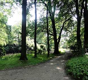 Impressionen aus dem Gesundheitspark Speckenbüttel