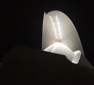 Das unverwechselbare Wahrzeichen von Santa Cruz