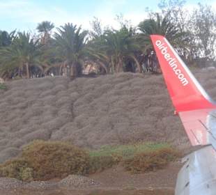 Flug zurück nach Deutschland