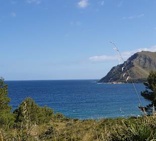 Wanderung Betlem - Ermita Betlem Artà