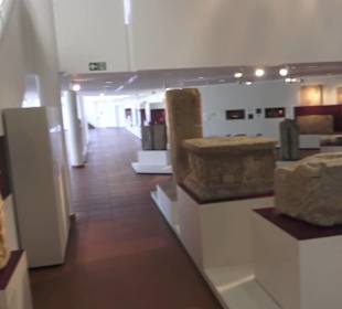 Rheinisches Landesmuseum 