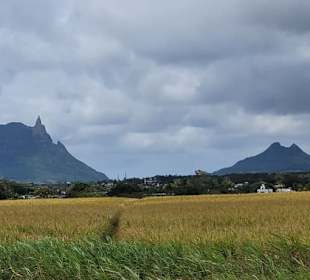 Mauritius Deutschsprachige Touren