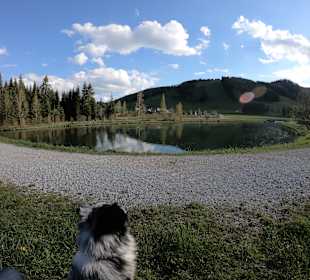 Wandern Fladnitz an der Teichalm