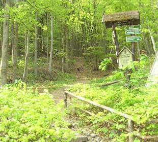 Wanderwege