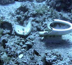 Nurkowanie w Sharm el Sheikh - podwodne skarby