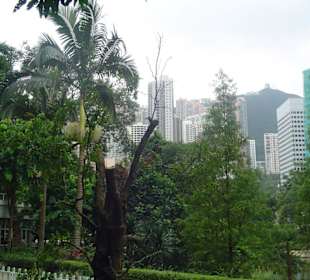 Victoria Peak