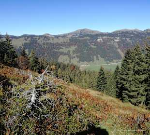 Wandern Balderschwang
