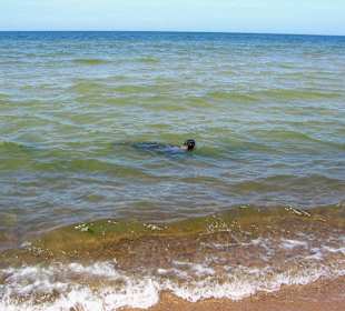 Strand
