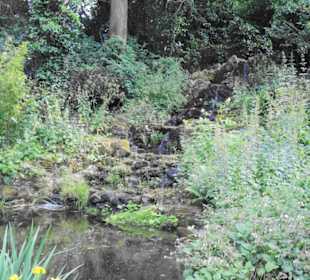 Regent´s Park Impressionen