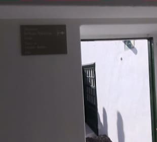 Fundacion Cesar Manrique