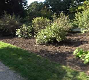 Botanischer Garten München