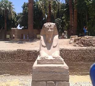 Ausflug Luxor Tempel