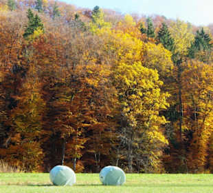Das letzte Heu wird geholt