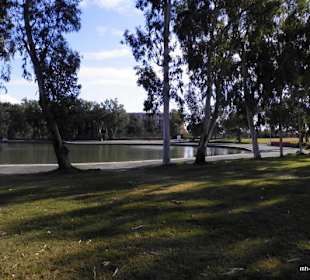 Titreyengöl am 25.12.2011