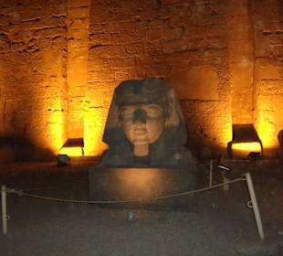 Sphinx vor dem Luxor Tempel