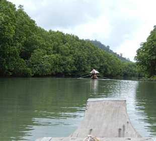 Bootstour in den Mangrovenwäldern