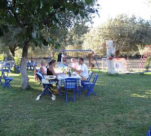 Ein Blick in den Garten