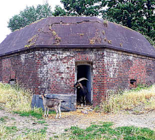 Festung Gerharda