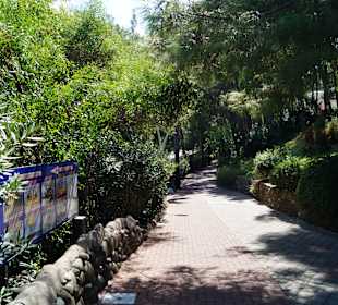 Stadtrundgang Marmaris