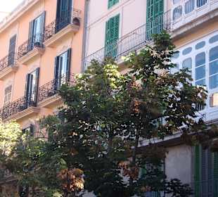 Altstadt Palma de Mallorca
