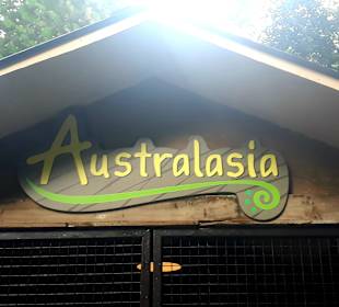 Singapur Zoo