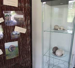 Straußenfarm Mhou Rülzheim