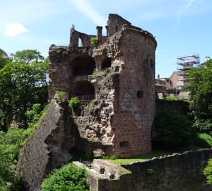 Bergbahn - Aus- und Einblicke vom Schloss
