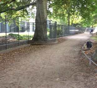 Englischer Garten