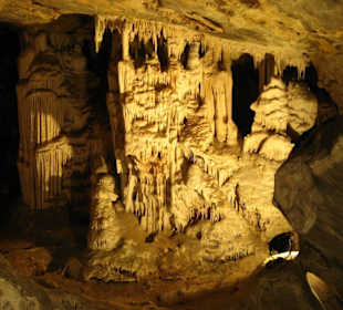 .. Wunder der Natur V