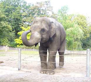 Tierpark Hagenbeck